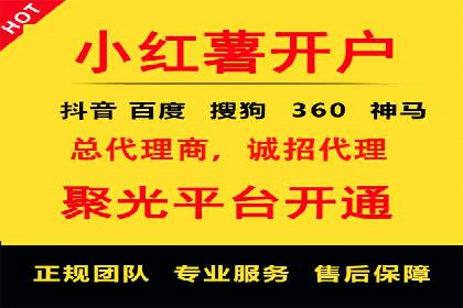 百度竞价排名服务：成功案例解析
